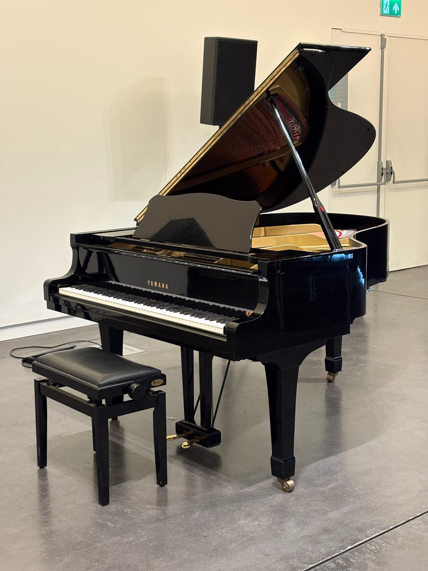 Yamaha C3 Concervatory
